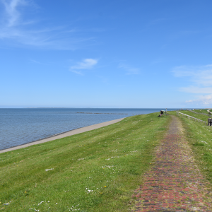 Waddendijk - Gerard