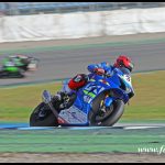 IDM_300917_Harry__5D4_4249
