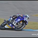 IDM_300917_Harry__5D4_4370