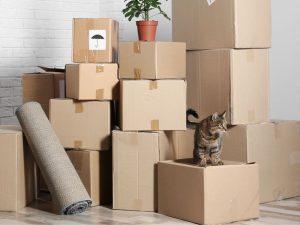 4 Ps of Moving House & Home Right