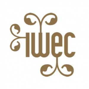 iwec Swedish Women Entrepreneurs of the Year