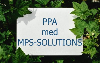 Uvildig rådgivning med MPS-SOLUTIONS ved fx PPA