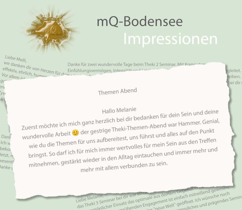 mQ-Bodensee | Impressionen Themen Treff