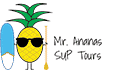 Mr Ananas Surf - Logo