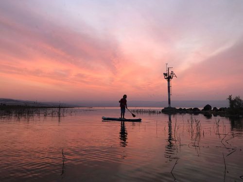 SUP Sunrise - Mr Ananas Surf