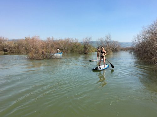SUP In the Jordan River- Mr Ananas Surf