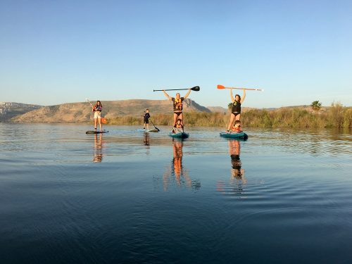 Private SUP tours - Israel - Kinneret - Mr Ananas Surf