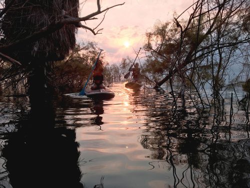 Stand Up Paddle Boarding - Sunrise - Sea of Galilee