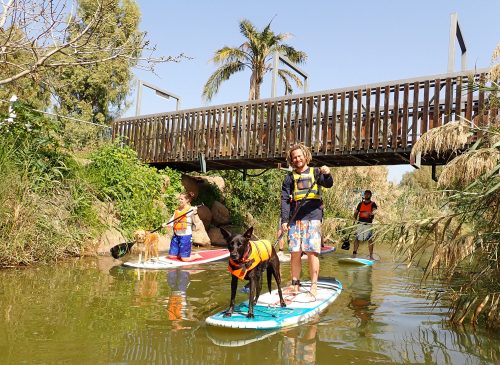 סאפ בכנרת בנחל צלמון