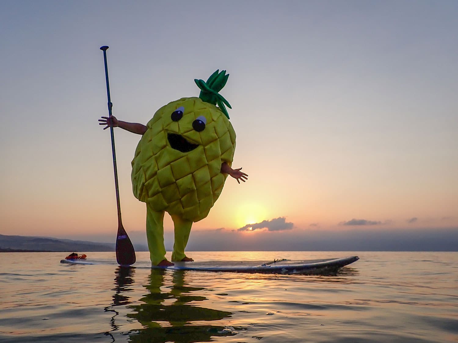 Mr Ananas Surf - Stand Up Paddle