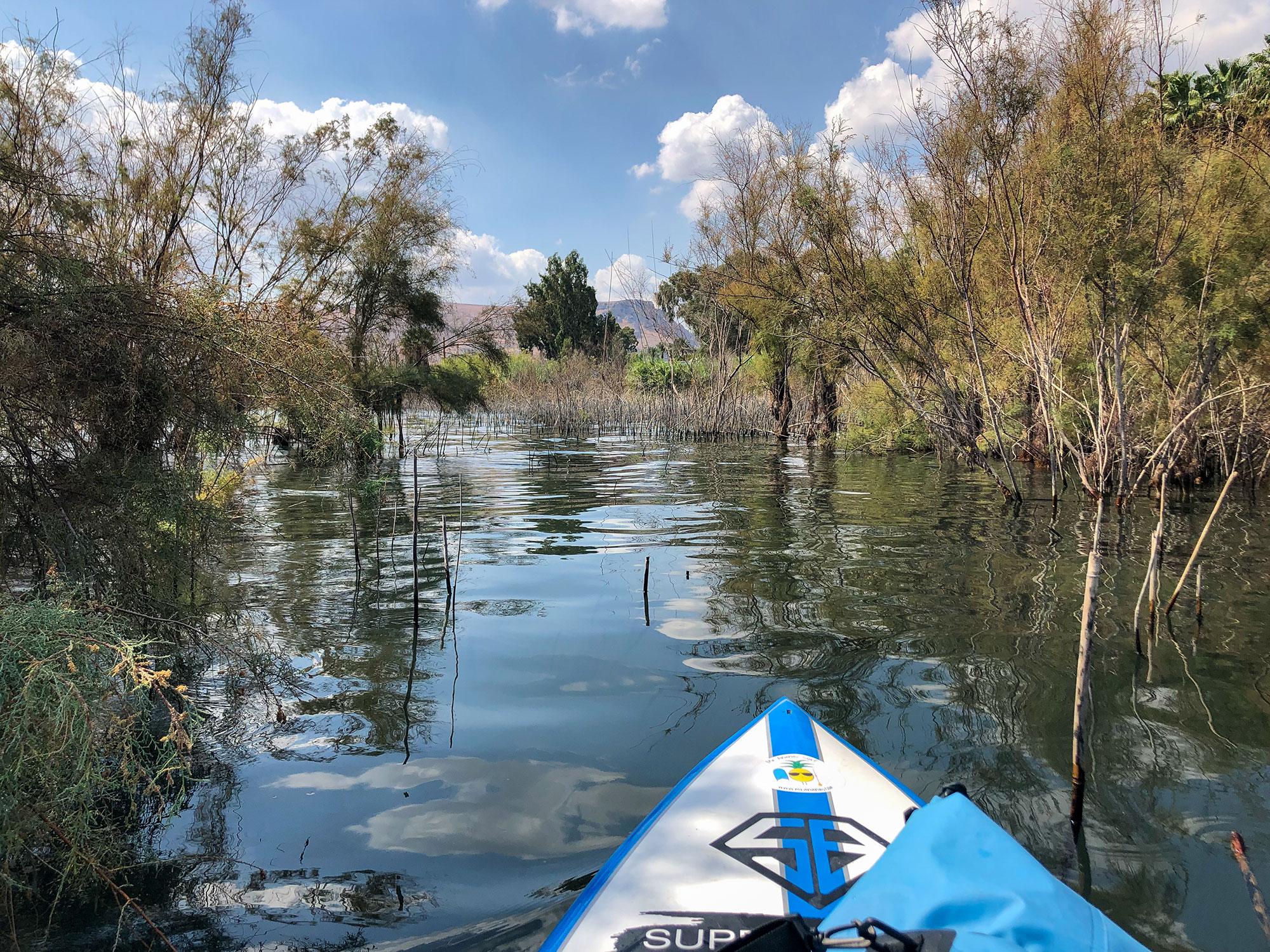 SUP Mini Tour Sea of Galilee