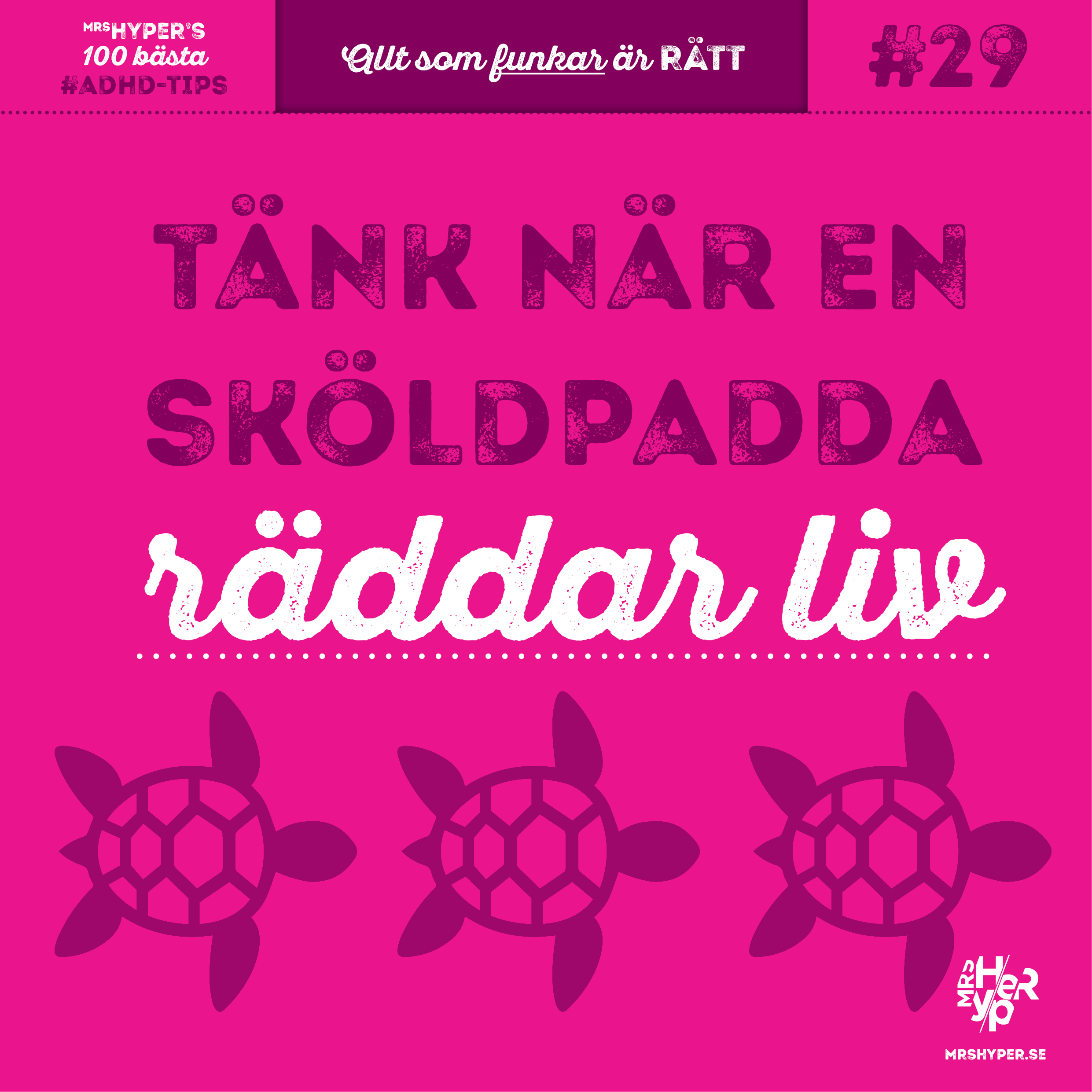 ADHD-tips #29. När en sköldpadda räddar liv