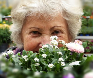 Mehr über den Artikel erfahren Freude bereiten