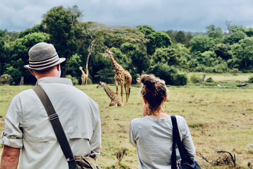 Safari, Tanzania