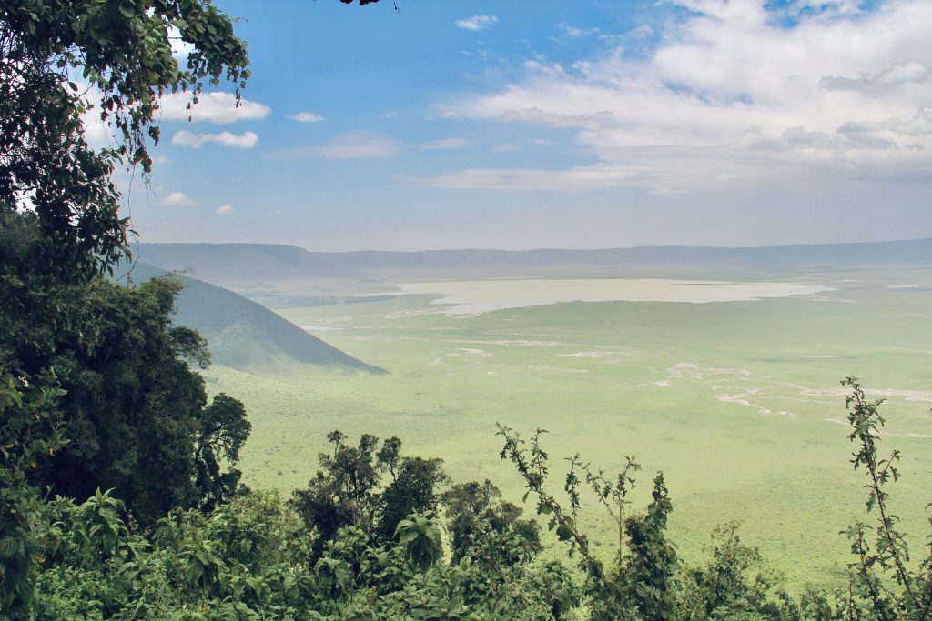 Ngorongoro, Safari, Tanzania