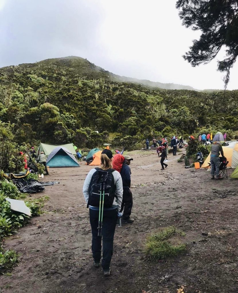 Walking up Mount Kilimanjaro, Tanzania