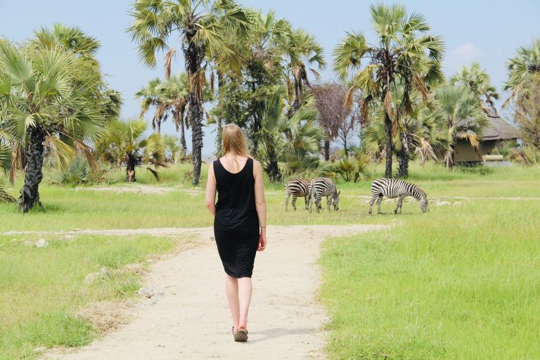 Zebras at Maramboi