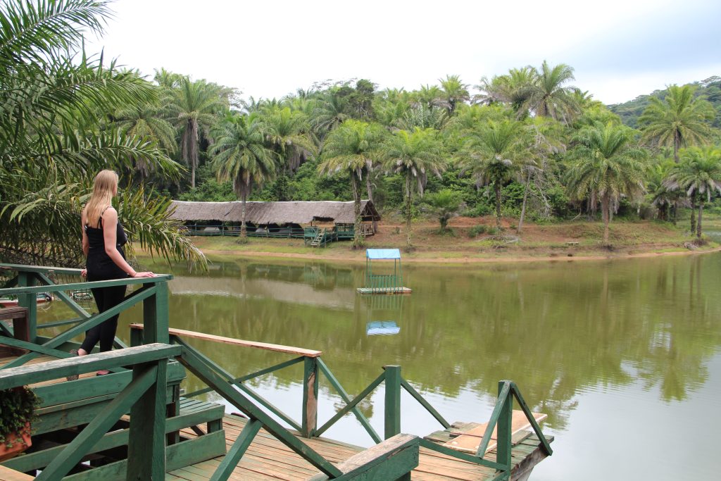 Magoroto forest in Tanzania