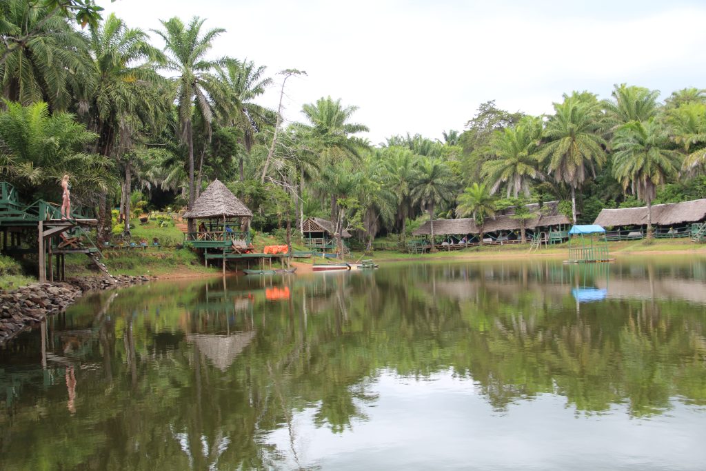 Magoroto forest in Tanzania