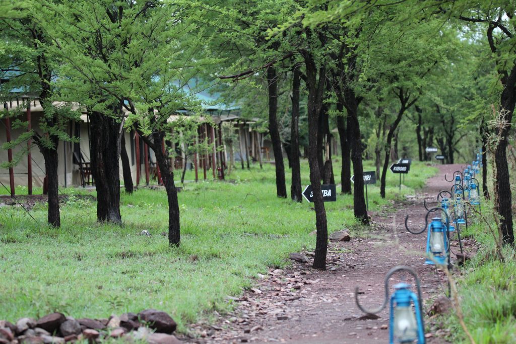 Camp in Serengeti