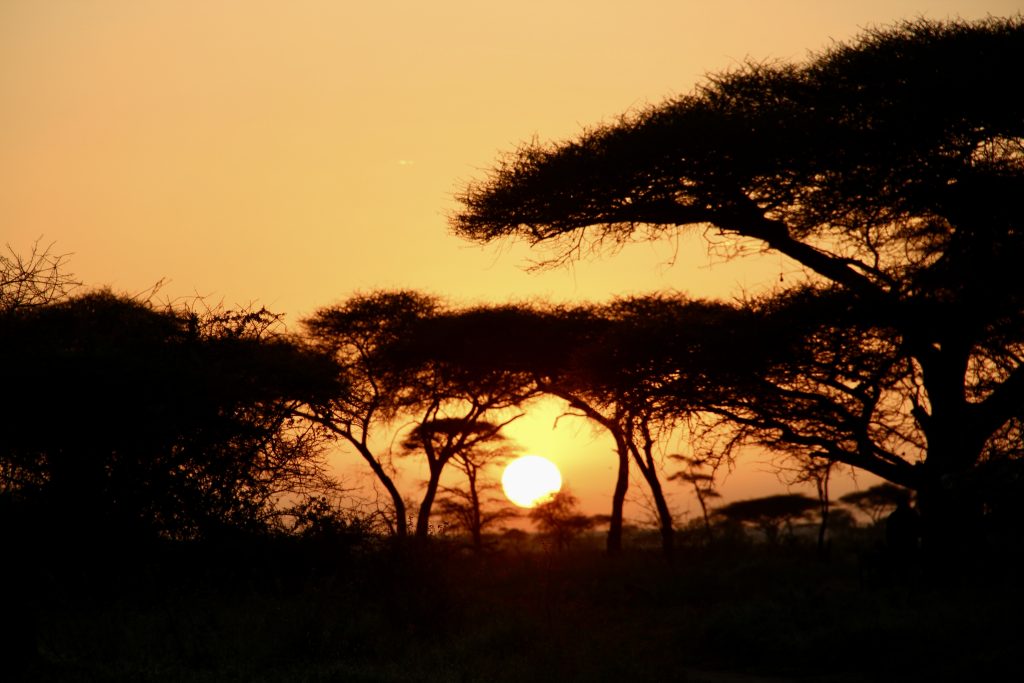 Sunrise in Serengeti, Tanzania