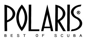 Polaris Logo weiss