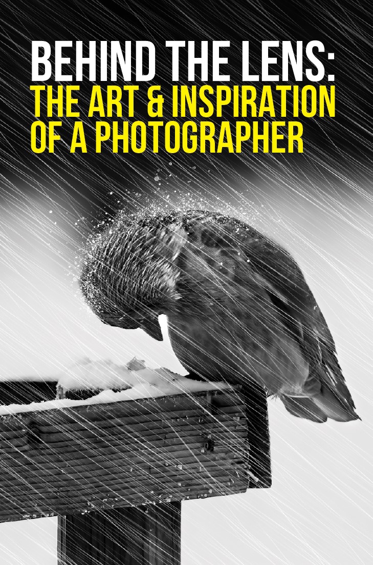 Behind the Lens: The Art & Inspiration of a Photographer