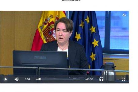Comisión de Educación, Formación Profesional y Deportes Sesión nº 1420/05/2025. Pilar Calvo. AMDP