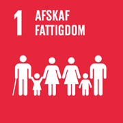 FN 17 verdensmål