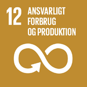 FN 17 verdensmål