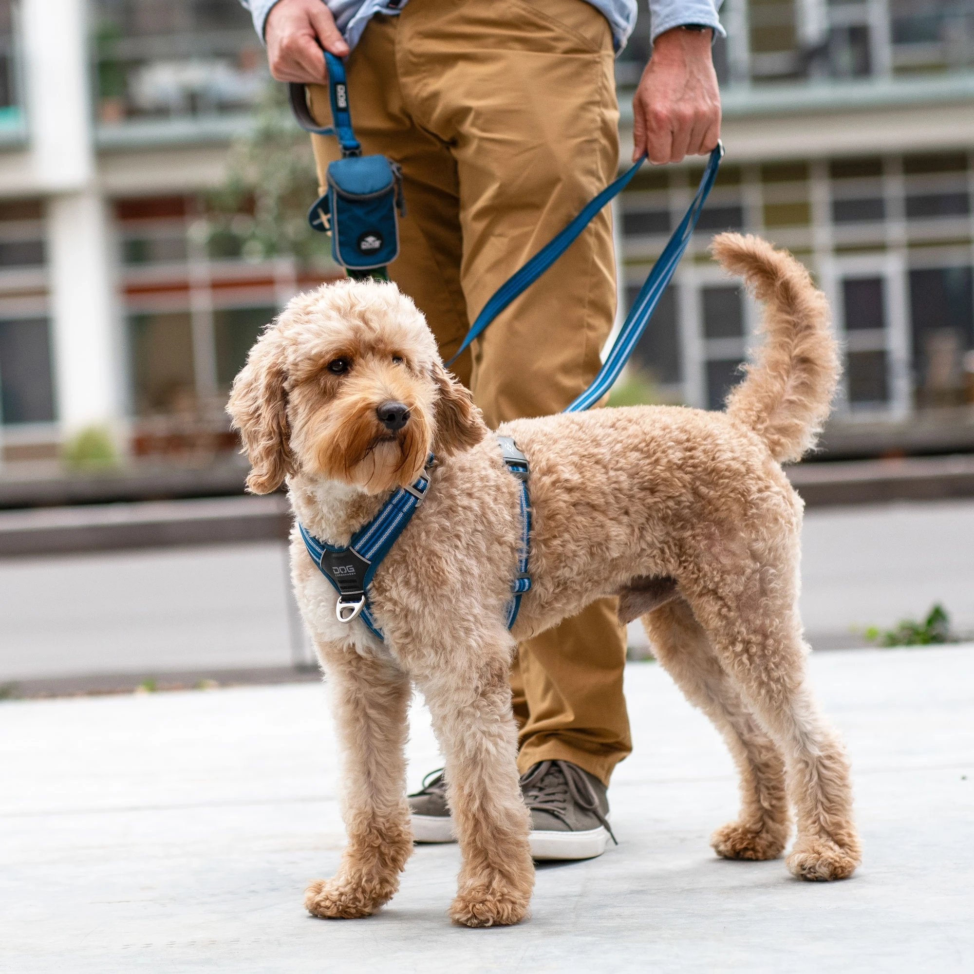 Dog Copenhagen Comfort Walk Air - Billede 13