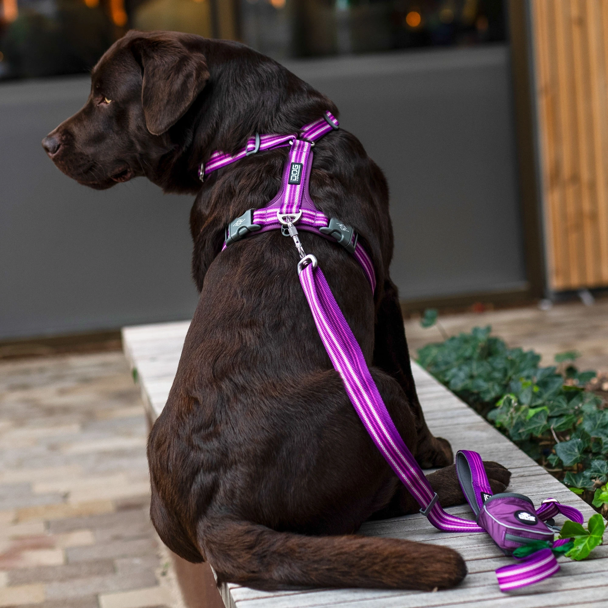 Dog Copenhagen Comfort Walk Air - Billede 16
