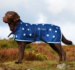 Canine Magnetix Magnetdækken