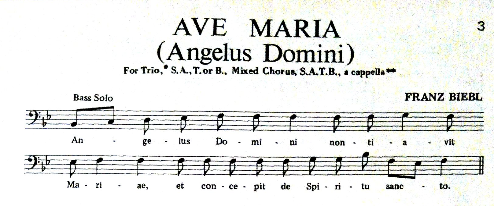 Ave Maria – Franz Biebl SSAATTB