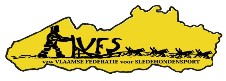 Logo VFS