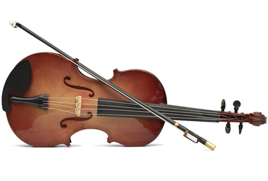 Location de violons - Musicali - Location vente d'instruments de