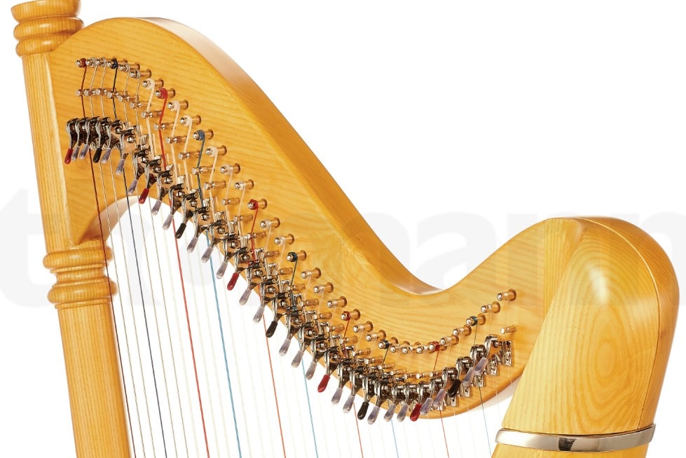 Thomann Pillar Lever Harpe 34 cordes - Musicali - Location vente  d'instruments de musique