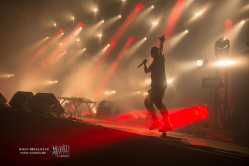 18TheBloodyBeetroots (7)