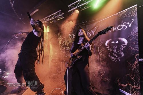 20230715Band3Necrosy (19)