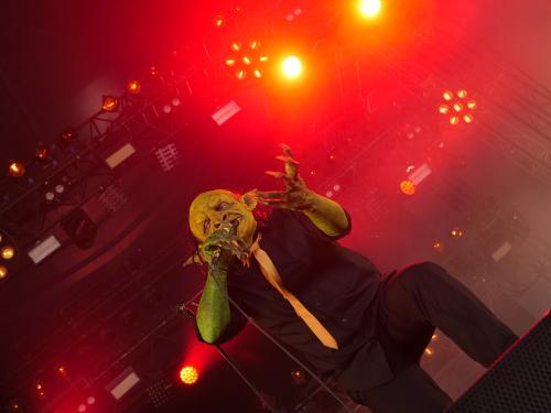 20240817Band10Nekrogoblikon (4)