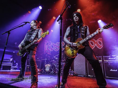 20260721Band2RoseTattoo (1)