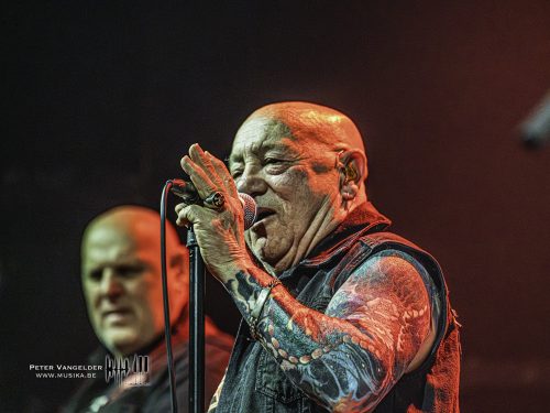 20260721Band2RoseTattoo (4)