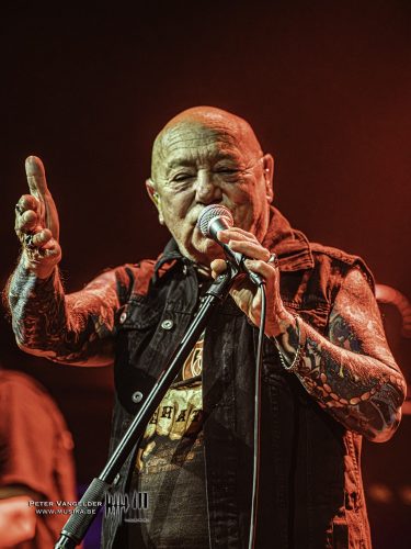 20260721Band2RoseTattoo (5)