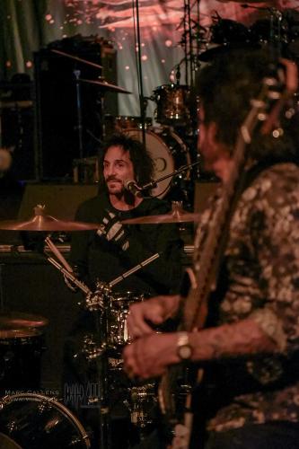 Band2DeadDaisies (4)