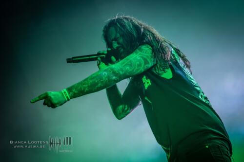 Band6FleddyMelculy (12)