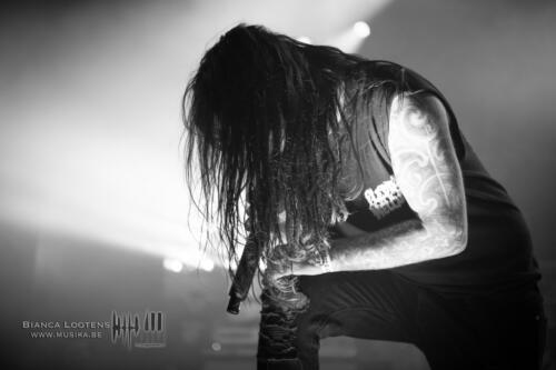 Band6FleddyMelculy (17)