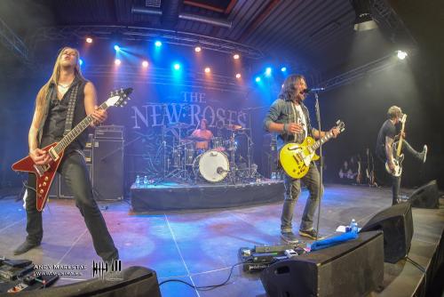 Band7TheNewRoses (22)