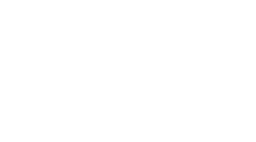 Logo MvZ Events wit - wit transparante achtergrond