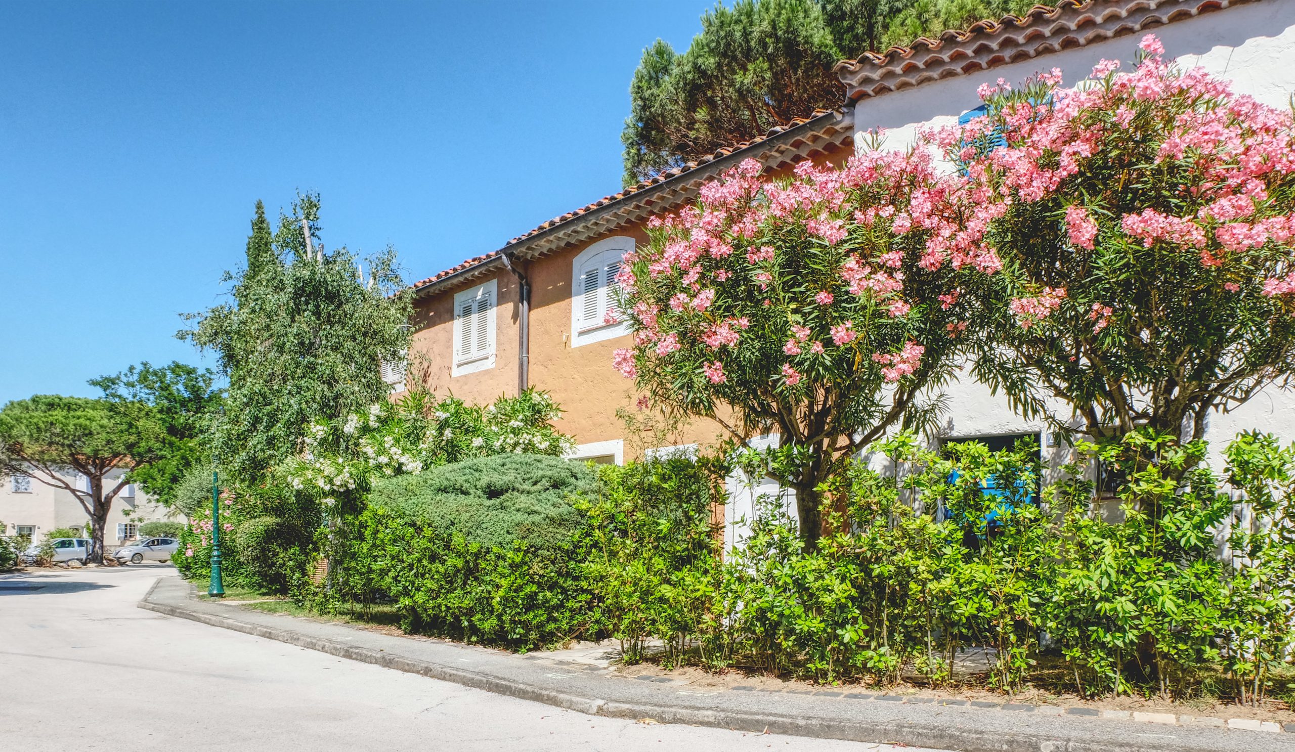 Grimaud_1