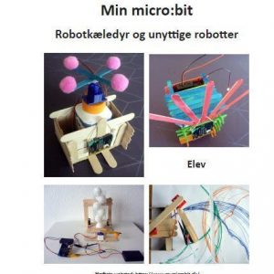 Kæledyrsrobotter og unyttige robotter - Elev